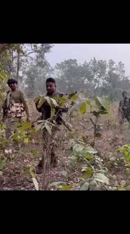 मनातू: मनातू थाना क्षेत्र में ड्रोन सर्वे में अवैध अफीम की खेती का खुलासा