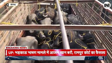 Chhattisgarh–UP Seema Par पशु तस्करी Ka Pardafash, 17 Bhains Baramad
.
.
.
.
#ChhattisgarhUP #UPBorder #PashuTaskari #C...