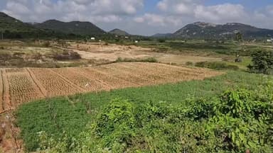 நாட்றாம்பள்ளி: செட்டேரிடேமிற்க்கு கிருஷ்ணகிரி கேஆர்பி அணை மற்றும் என்கோல் அணையிலிருந்து உபரிநீரை கொண்டுவர வேண்டும் என விவசாயிகள் கோரிக்கை