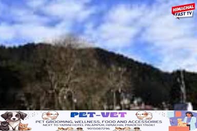 हिमाचल में 20 और 21 दिसंबर को ऊंचाई वाले क्षेत्रों में बारिश-बर्फबारी का अनुमान
#HimachalWeather #Snowfall #RainAlert #W...