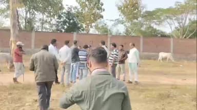 गुनौर: गुनौर में नगर परिषद भवन की ज़मीन आरक्षित वन भूमि घोषित, कलेक्टर को आवंटन रद्द करने के लिए लिखा पत्र