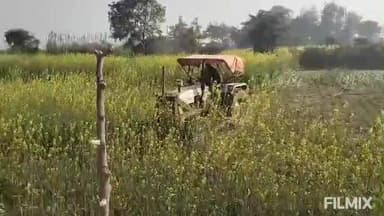 मुरैना: कलेक्टर के सख्त एक्शन के बाद सुमावली विधान सभा में खेल मैदान के लिए आरक्षित 4 बीघा जमीन अतिक्रमण से मुक्त