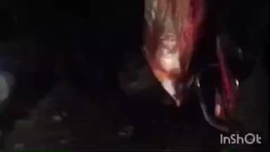 रूपनगर: रूपनगढ़ थाना क्षेत्र के परबतसर मानपुर रोड पर तेज रफ्तार बजरी से भरे ट्रैक्टर ने बाइक को मारी टक्कर, बाइक सवार घायल