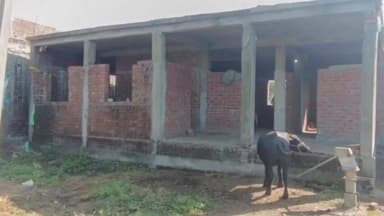 नागदा: स्कूल भवन के लिए 80 वर्षीय बुजुर्ग की अनोखी पहल: 81 आवेदन, 51 सूत्रीय मांग और 90 किमी की पदयात्रा