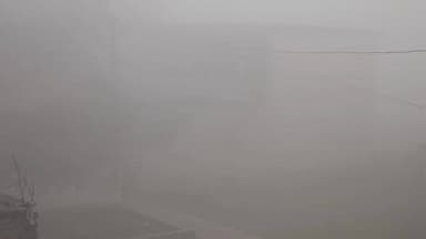 डंडारी: डंडारी प्रखंड क्षेत्र के विभिन्न इलाकों में छाया घना कोहरा