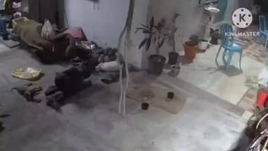 शिरूर: शिरूर तालुक्यातील टाकळी भिमा. कुत्र्याच्या शिकारीचा थरकाप उडवणारा विडीओ...