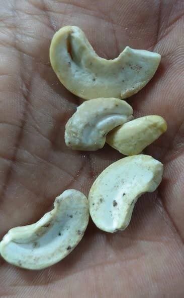 बैढन में खाद्य सुरक्षा उड़नदस्ता की कड़ी कार्रवाई
मानकों के उल्लंघन पर जब्ती, नष्टीकरण और नोटिस दो दिन चला सघन अभियान