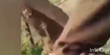 निर्मली: नदी थाना क्षेत्र के लालपुर में पुलिस की पिटाई का वीडियो सोशल मीडिया पर वायरल