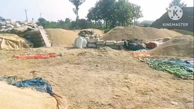 धान खरीदी में अव्यवस्था: कड़े मानकों के चलते रैपुरा में किसानों की धान तौल नहीं हो पा रही
#पन्ना
#धानखरीदी
#किसान_परेशान...