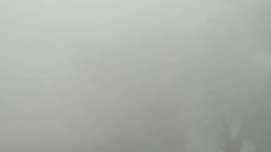 बिलारी: मुरादाबाद में घने कोहरे ने बढ़ाई कड़ाके की ठंड, हाईवे पर दिन में भी रात जैसे हालात, शहर के भीतर विजिबिलिटी बेहद 10 मीटर