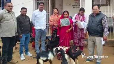 सोनारायठाढ़ी: सोनारायठाड़ी पशु चिकित्सालय में 19 लाभुकों के बीच बकरा-बकरी का वितरण