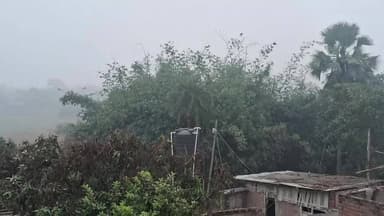 बेलसंड में कड़ाके की ठंड, कोहरे और शीतलहर का डबल अटैक
#viral #BelsandNews #viralpost2025 #khetikisani #NewsUpdate #weat...