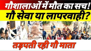 घासीपुर गौशाला की हालत पर हंगामा, भगवा वाहिनी गौसेवा मिशन ने दी आंदोलन की चेतावनी #gausala #upnews