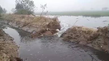 महावन: फरह क्षेत्र में नहर की पटरी टूटने से 50 बीघा फसल जलमग्न हुई