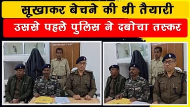 रात 11:30 बजे पुलिस का ऑपरेशन, घर से निकला 43.5 किलो गांजा