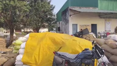 मझौली: मड़वास धान खरीदी केंद्र में किसानों की भारी भीड़, धान रखने की जगह नहीं होने पर किसानों ने मीडिया को दी जानकारी