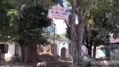 सुसनेर: अमरकोट के ग्रामीणों ने जिला जनपद वार्ड 1 के उप चुनाव का बहिष्कार किया, गांव में 'रोड नहीं तो वोट नहीं' के पोस्टर लगाए