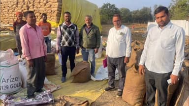 पेण्ड्रा: जीपीएम में अवैध धान परिवहन और अमानक धान पर कार्रवाई, 204 क्विंटल धान किया गया ज़ब्त