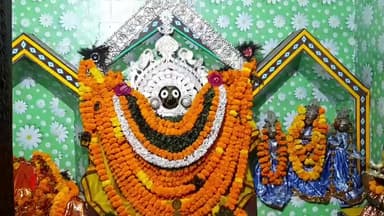 ଭଟଲି: ଭଟଲି ଦଧିବାମନ ମନ୍ଦିର ରେ ବକୁଳଲାଗି ହେବା ପରେ ଭକ୍ତଙ୍କ ପ୍ରବଳ ଭିଡ,