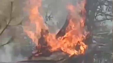 निचार: किन्नौर के याँगपा के मारपालिंग में लगी आग, वन सम्पदा जलकर हुई राख