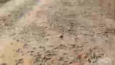 करौं: करौं के कोलडीह में शिलान्यास के एक साल बाद भी सड़क नहीं बनी, ग्रामीणों में नाराज़गी