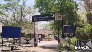 नांदगाव: परधडी येथे वन विभागाच्या डोहात बुडून एकाचा मृत्यू