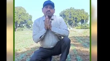 बनखेड़ी: कृषि विशेषज्ञ बनखेड़ी ने बताया, चने की फसल में हैंड हो से खरपतवार प्रबंधन को कैसे रखें सुरक्षित