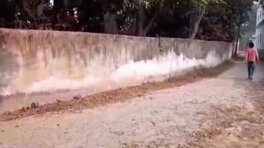 पकड़ी दयाल: चोरमा पैठान टोली में 4 कट्ठा 10 धुर सरकारी जमीन से सीओ नहीं हटा रहे अतिक्रमण, ग्रामीणों में आक्रोश