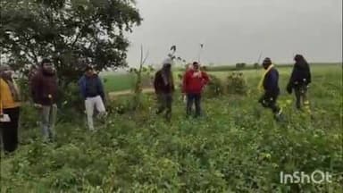 शाम्हो अकहा कुरहा: शाम्भो में अतिवृष्टि से बर्बाद हुई मटर की फसल का डीएओ ने किया मुआयना