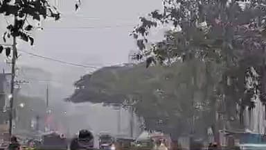 कटकमसांडी: कटकमसांडी में छाया घना कुहासा, ठंड में हुआ इजाफा