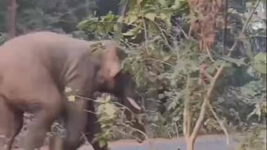 ସିମୁଳିଆ: ଖଇରା ବ୍ଲକ ର ବିଭିନ୍ନ ସ୍ଥାନ ରେ ହାତୀ ଆତଙ୍କ, ହାତୀ ଆକ୍ରମଣ ରେ ଜଣେ ମୃତ, ଦୁଇ ଗୁରୁତର