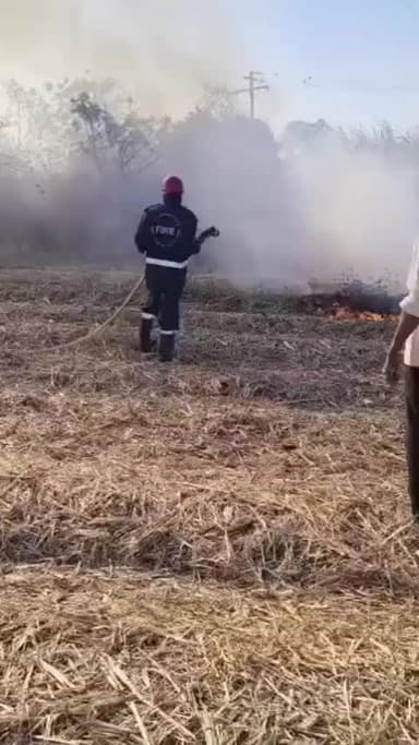 జహీరాబాద్: మొగుడంపల్లి లో షార్ట్ సర్క్యూట్తో చెరుకు తోట దగ్ధం, మంటలను అదుపు చేసిన ఫైర్ ఇంజన్ సిబ్బంది