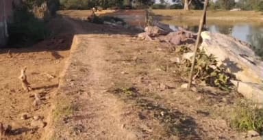 रीठी: कब्जे की नीयत से तालाब की मेढ़ हटाई, नाली क्षतिग्रस्त, ग्राम पंचायत मुहांस का मामला तहसीलदार को सौंपा