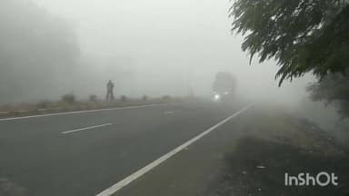 मालथोन: मालथौन में सर्दी का सितम, हाईवे पर घने कोहरे के कारण रेंगते दिखे वाहन