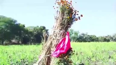 నారాయణ్ఖేడ్: నారాయణఖేడ్ ప్రాంతంలో సాంప్రదాయ బద్ధంగా శూన్యం అమావాస్య పండుగ జరుపుకున్న రైతు కుటుంబాలు