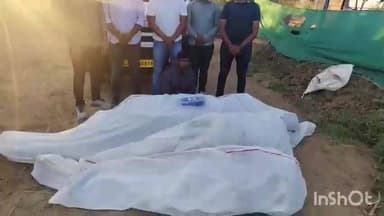 સતલાસણા: જસપુરિયા ગામે ખેતરમાં 7,20,000/- ના ગાંજાના 3 છોડ પકડાયા