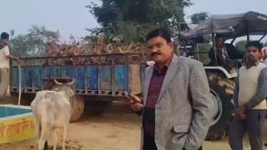 बिसवां: कसमण्डा के खंड विकास अधिकारी ने सीतारसोई स्थित अस्थाई गौ आश्रय स्थल का किया निरीक्षण