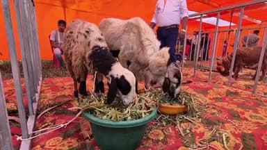 ବରଗଡ: ଯଦୁମଣି ପ୍ରଧାନ ଅଡିଟୋରିୟମ ଠାରେ ଅନୁଷ୍ଠିତ ପ୍ରଦର୍ଶନୀ ମେଳା ପରିଦର୍ଶନ କରି ପ୍ରତିକ୍ରିୟା ରଖିଲେ ଜିଲ୍ଲା ପରିଷଦ ଅଧ୍ୟକ୍ଷା