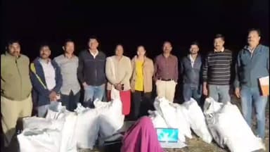 देऊळगाव राजा: तुरीच्या शेतात केली गांजाची लागवड 12 लाख 52 हजार रुपयांचा मुद्देमाल हस्तगत स्थानिक गुन्हे शाखेची कारवाई