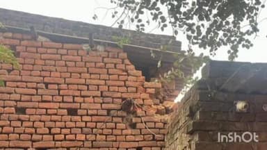 बालूमाथ: बालूमाथ बाजार टांड में राही स्टोर की दीवार तोड़कर किराना दुकान से चोरी, पुलिस जांच में जुटी