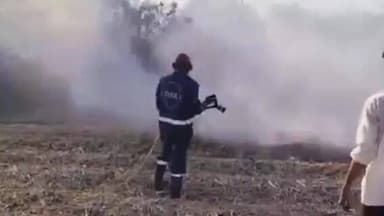 జహీరాబాద్: మొగుడం పల్లి లో విద్యుత్ షార్ట్ సర్క్యూట్తో చెరుకు తోట దగ్ధం