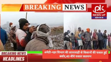 #अमेठी-नहर विभाग की लापरवाही से किसानों की फसल हुई बर्बाद,40 बीघे फसल जलमग्न #PKNEWSUP
