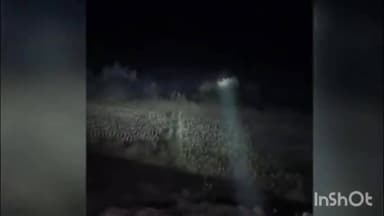 पूर्वी टुंडी: धनबाद के टुंडी पूर्वी में हाथियों का उत्पात, रिहायशी इलाकों में दहशत