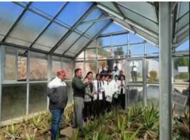 धारचूला: राजकीय पॉलिटेक्निक कॉलेज मुनाकोट के विद्यार्थियों को औषधि पौधों के बारे में दी गई जानकारी