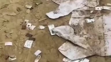 बैरगनियां: परसौनी पंचायत में स्वास्थ्य विभाग की लापरवाही: सड़कों पर फेंकी गईं हजारों दवाइयां