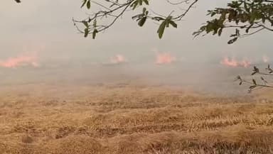 मगरलोड: खेतों में पराली जलाने पर प्रतिबंध, फिर भी नियम का पालन नहीं, खेत में जलाई जा रही पराली
