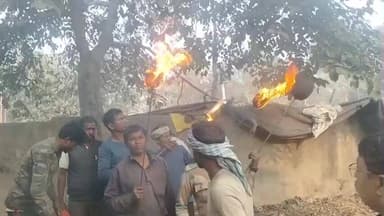 पतरातू: रामगढ़ में हाथियों का उत्पात, 6 लोगों की मौत के बाद वन विभाग ने रेस्क्यू के लिए कसी कमर