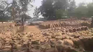 सिहावल: जिले में धान परिवहन में गड़बड़ी, कलेक्टर की कार्रवाई, 7 उपार्जन केंद्र प्रभारियों पर अर्थदंड