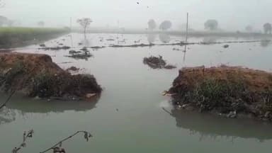 गभाना: पिसावा के मढ़ा हबीवपुर में माइनर की पटरी कटने से किसानों की 500 बीघा फसल हुई जलमग्न