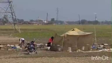 कहरा: गुजरात से खजुरी गांव तक: मधुमक्खी पालन से रामप्रवेश बने आत्मनिर्भर, 50 से 200 बॉक्स तक का सफर